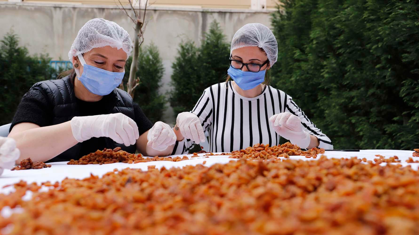 500 Gr. Sultaniye Kuru Üzüm - Görsel 8